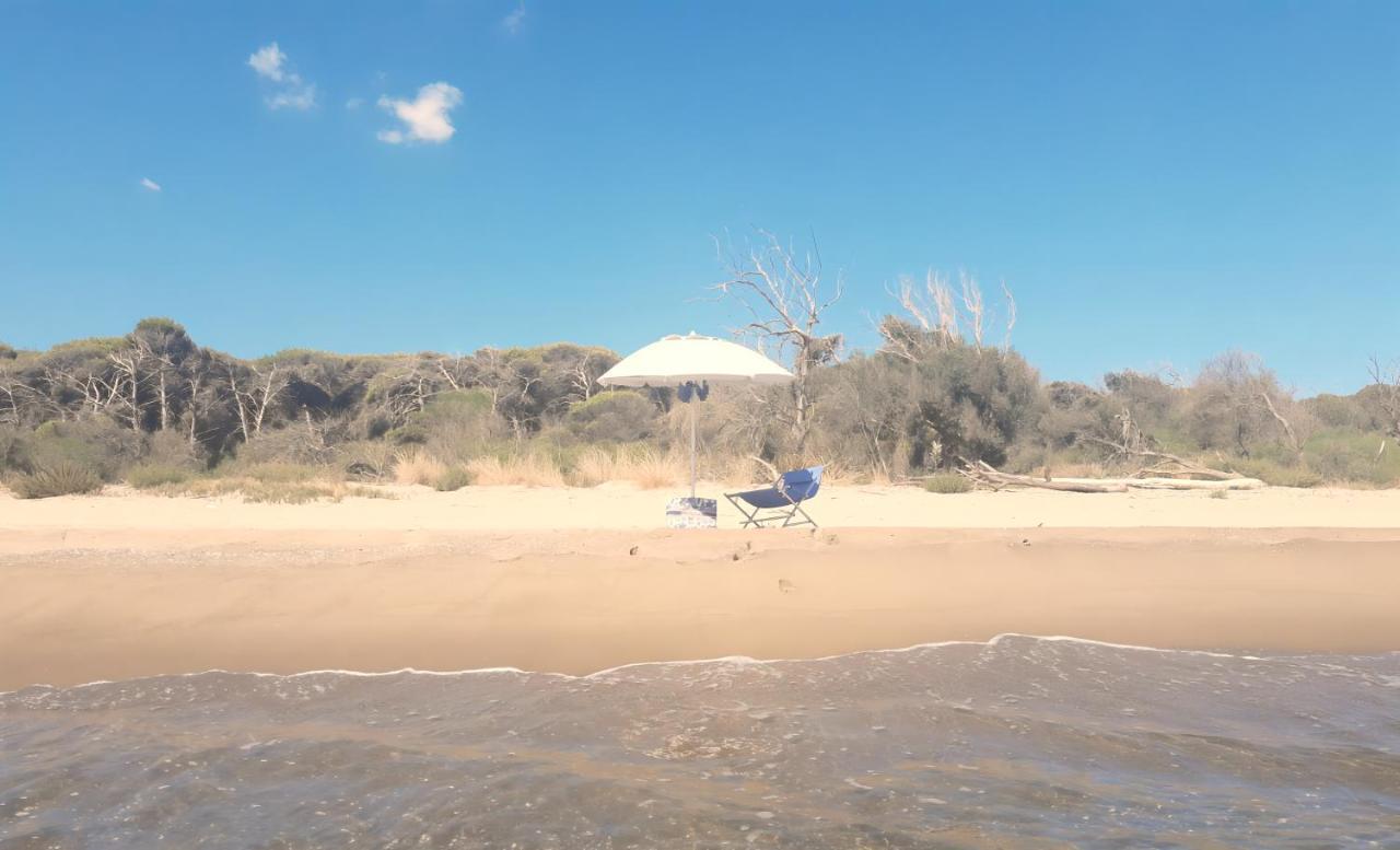 Вилла Oasis Escape Vaccarizzo-Delfino Экстерьер фото