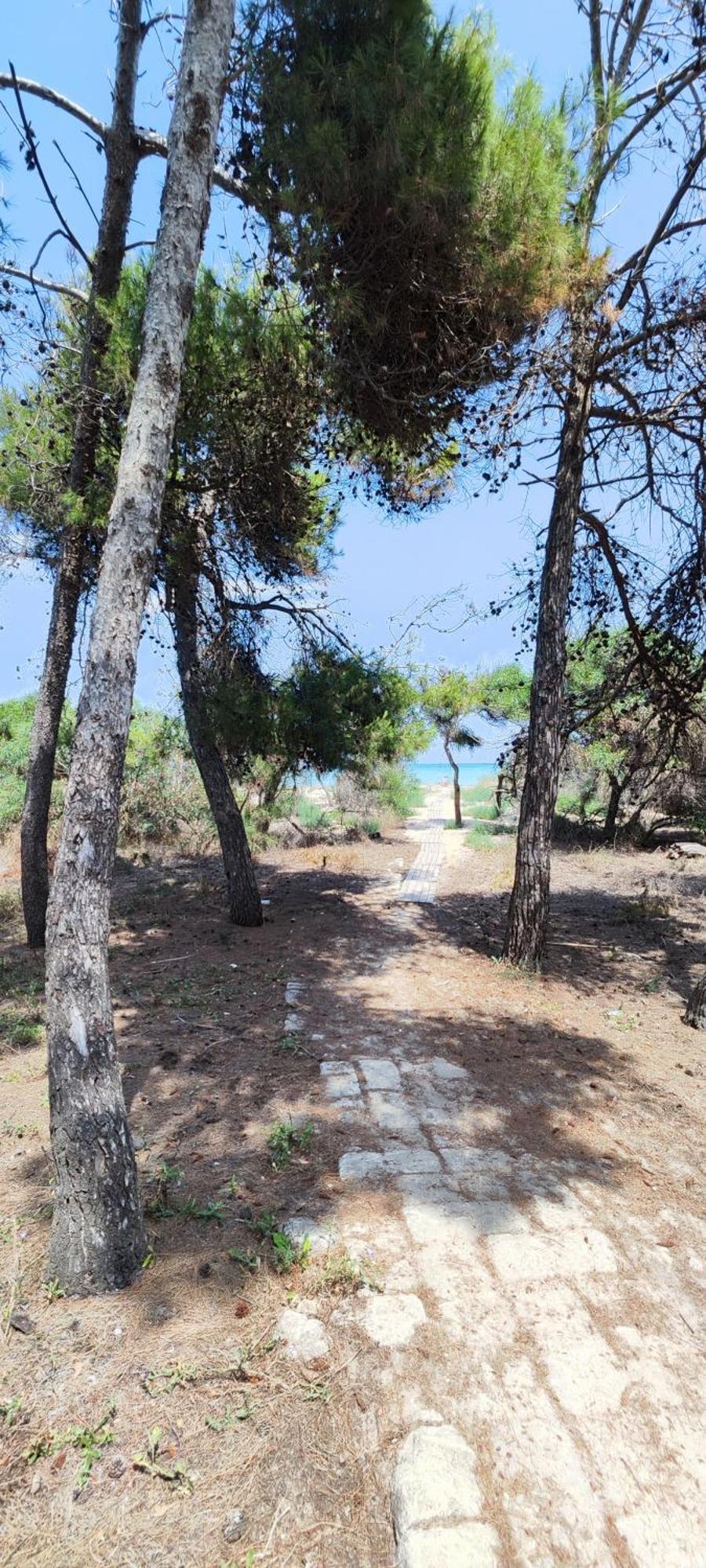 Вилла Oasis Escape Vaccarizzo-Delfino Экстерьер фото